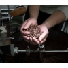 Coffee Roaster - Coffee Processing Master | KUBAN