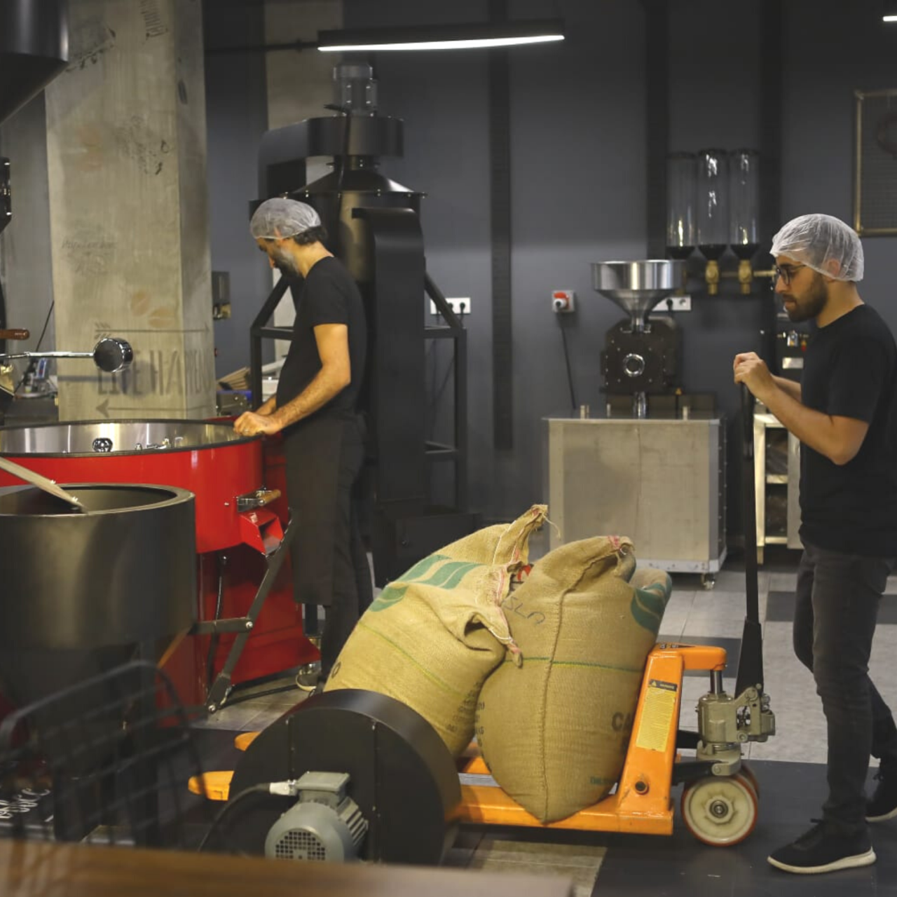 The Perfect Roaster to Grow Your Business: Introduction to Industrial ...